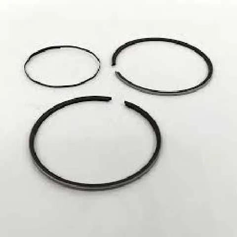 RIN AX100 1.00 SUZUKI  NPR RIN00056