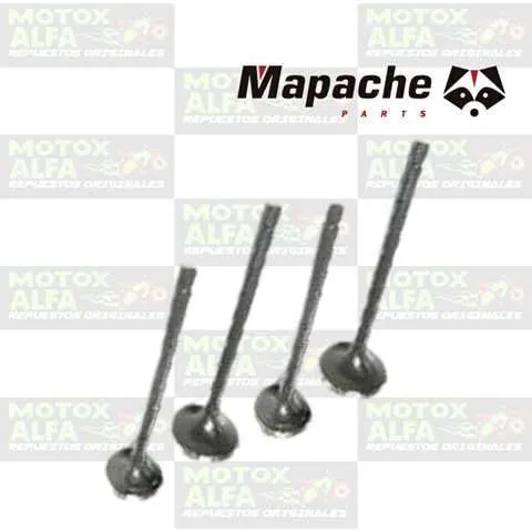 VALVULA NS200 IN29MM EX24MM 4.5M PL MAPACHE1876