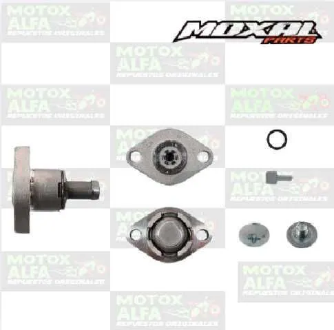 TENSOR CADENILLA LX250 R2 LONCIN MOXAL 06.183.0019