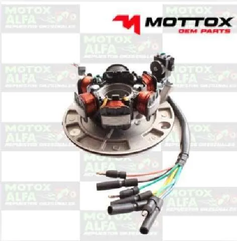 CORONILLA 6B 2H FX150 SP1 PIT BIKE MOTTOX M02528