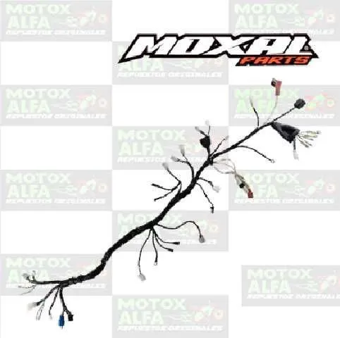 INSTALACION ELECTRICA CR5 LX250 LONCIN ORIGINAL MOXAL 06.084.0039