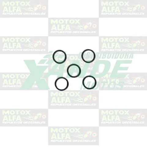 ORING PINON LEVA CG 2520