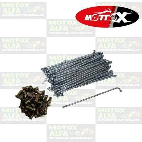 RAYO 136 8G POSTERIOR DY150 EAGLE DAYTONA MOTTOX RAYO00003