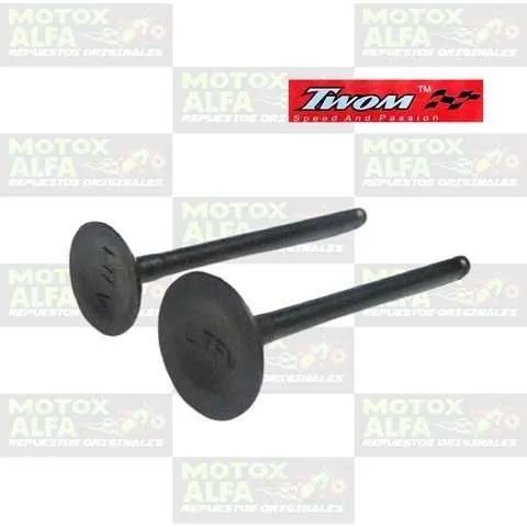 VALVULA AX4 GD110 SUZUKI IN24MM EX21MM 4.5MM TWOM 1160300172