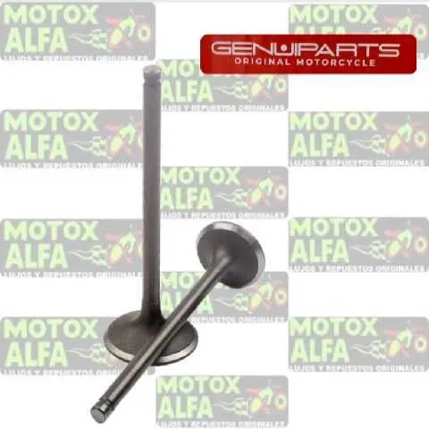 VALVULA CG 110 HONDA 5MM ESCA22MM ADMI25MM ORIGINAL GENUINO G 1484 