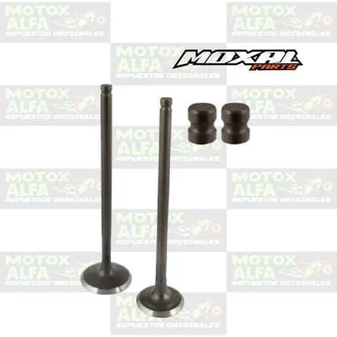 VALVULA GN125 EN125 SUZUKI IN25.5MM EX22.5MM 5M PICO CORTO MOXAL 06.088.0005