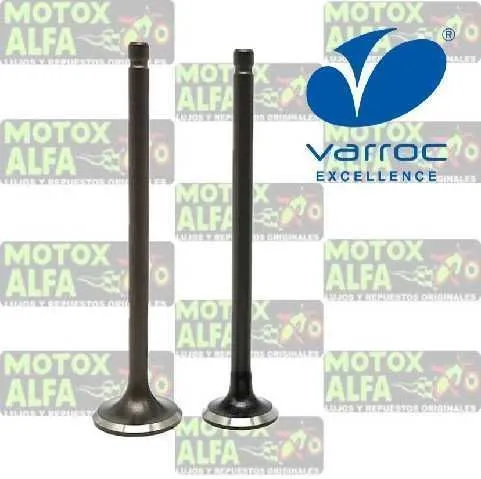 VALVULA LS135 13M 20M 4.5M PULSAR VARROC 06.088.0063