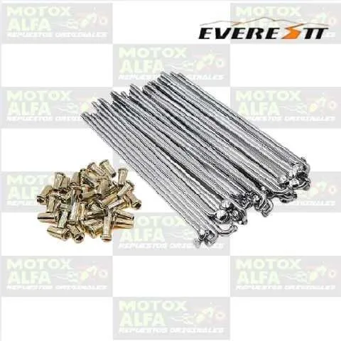 RAYO 165 36PCS EVERESTT 19127.104-EVE