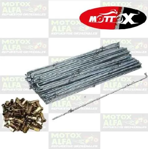 RAYO 206 208 10G DELANTERO DY150 EAGLE DAYTONA MOTTOX RAYO00004