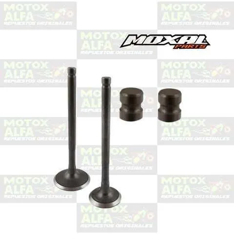 VALVULA CB125 TRAXX125 IN30MM EX25MM PICO CORTO CHINA HONDA MOXAL 06.088.0038