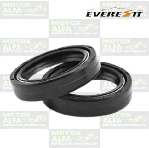 RETENEDOR 30 40.5 10.5 BARRA YBR125 RX EN125 GS125 EVERESTT 16101.102-EVE 