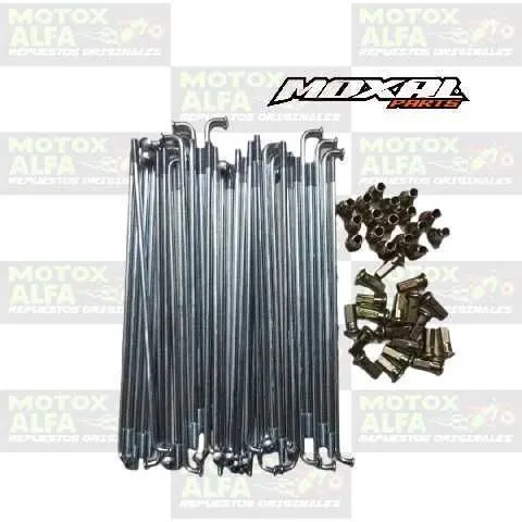 RAYO 150 8G RANGER 200GY8 POSTERIOR 4MM 36R MOXAL 06.149.0028