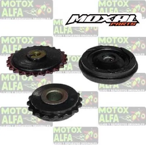 KIT PIÑON RODILLO DISTRIBUCION MT110 MOXAL 06.132.0003