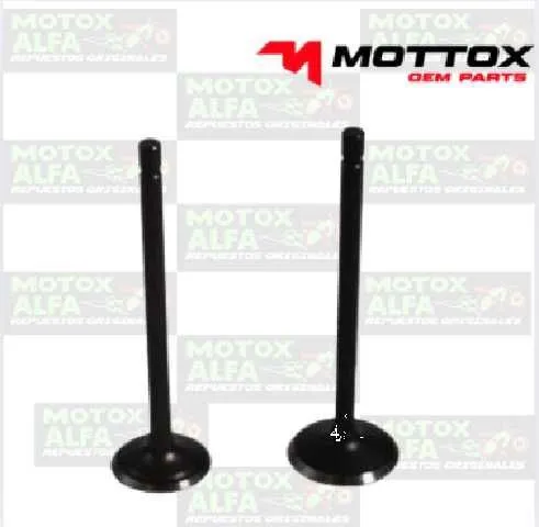 VALVULA HLX150 TVS MOTTOX VLVL013