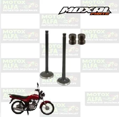 VALVULA  AX4 SUZUKI MOXAL 06.088.0059