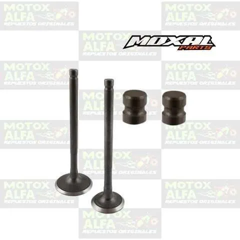 VALVULA CB1 TWISTER110 HONDA  A25.5MM E21MM PICO CORTO MOXAL 06.088.0001