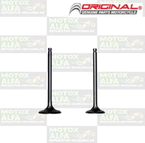 VALVULA GS200 DR200 QM200GY GXT200 ORIGINAL VAL00044