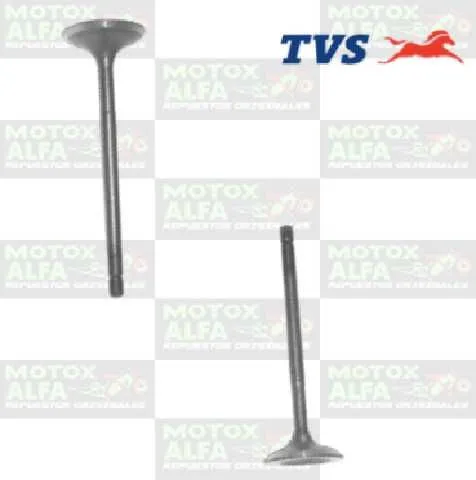 VALVULA HLX150 ORIGINAL TVS M1010550 M1010560