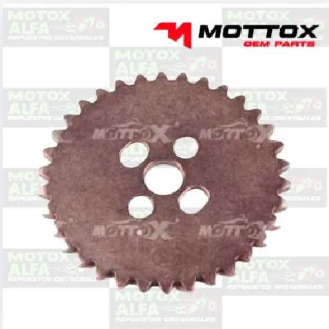 PIÑON DISTRIBUCION FX150 PIT BIKE SPD (2016) FACTORY 34D MOTTOX M02566