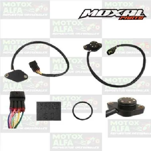 TROMPO MARCHA RALLY300 7PIN MOXAL 06.163.0013