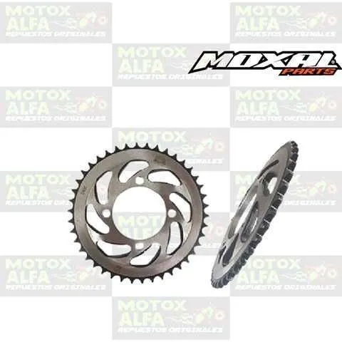 CATALINA FX200 42T 428H OVALADA MOXAL 06.042.0013 THUNDER-METRO200 STIFF150 STORM125