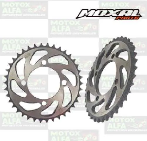 CATALINA RX100 38T 428H 4H MOXAL 06.042.0022