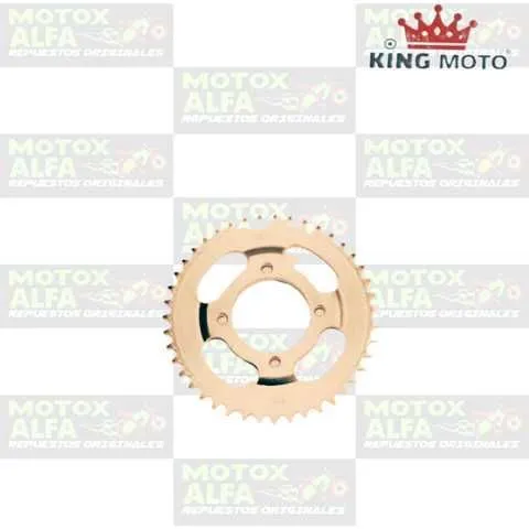 CATALINA WY125 45T 428H FX200 OVALADA KINGMOTO 08909 45