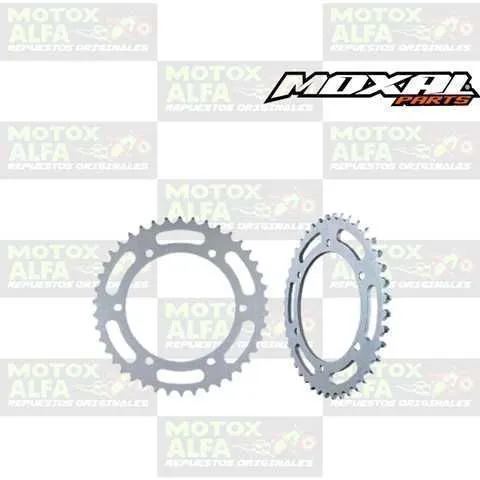 CATALINA XR250 42T 520 XY200GY6 CHINO MOXAL 06.042.0146