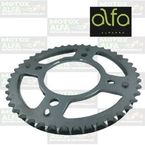 CATALINA CB190R 45T 428H CFZ250 WOLF200 ALFA PRO E402014