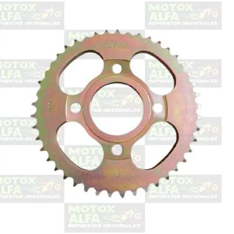 CATALINA CG125 38T 428H 4H ACERO 1045 ZY255