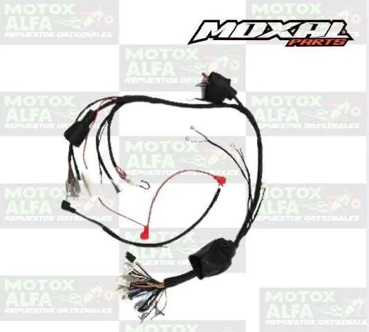 INSTALACION ELECTRICA DY250 SCORPION MOXAL 06.084.0035
