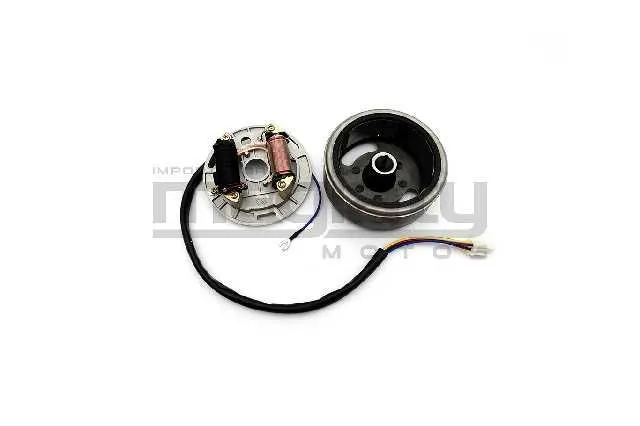MAGNETO COMPLETO AX100 SUZUKI ORIGINAL GENUINO 10128.101-GEN