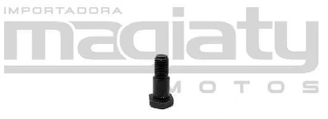 PERNO PATA APOYO RTR160 4V ORIGINAL TVS 19171.101-GEN