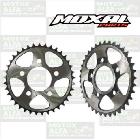 CATALINA CHIEFII 250 SHINERAY 37T 5H 520H MOXAL 06.042.0185