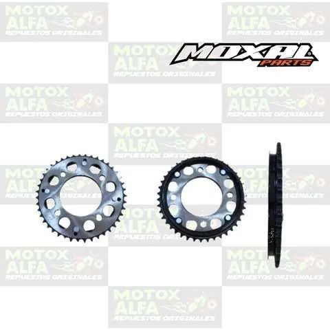 CATALINA CB190 43T 428 WOLF200 CB110 MOXAL 06.042.0231