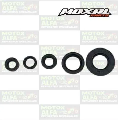 KIT RETENEDOR XTZ125 YBR125 YAMAHA MOXAL 06.095.0049