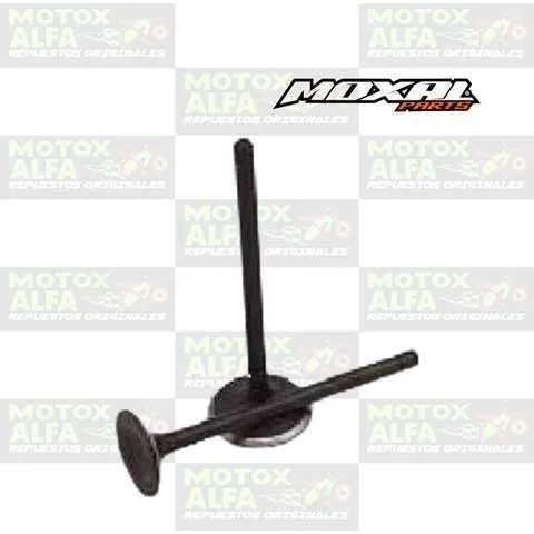 VALVULA CB200 31.5MM 27MM PC MOXAL 06.088.0006