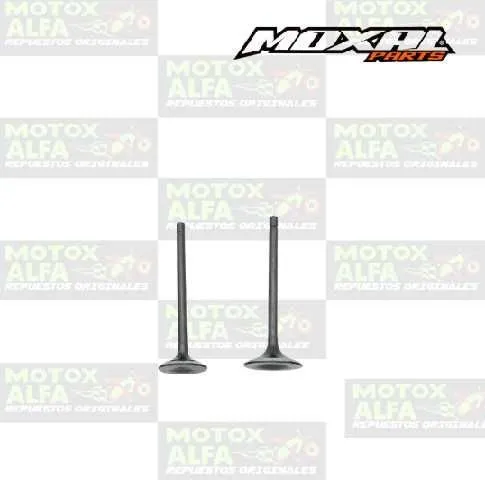 VALVULA GP200 31.5MM 26.9MM PL CG200 MOXAL 06.088.0067