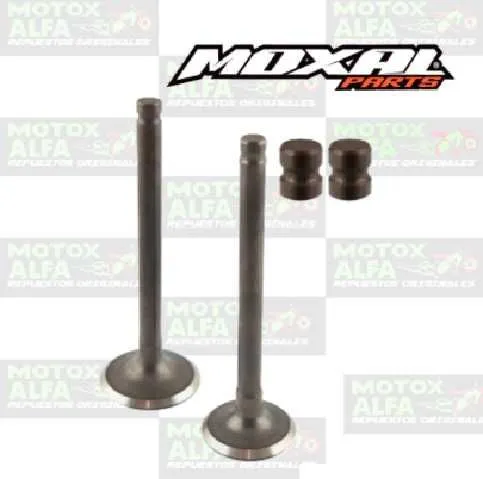 VALVULA MT110 XY125-30A SHINERAY PICO CORTO CABALLITO A23MM E20MM MOXAL 06.088.0028