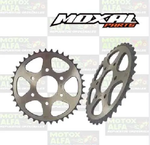 CATALINA NS200 39T 520H PULSAR MOXAL 06.042.0015