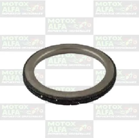 EMPAQUE FUEGO CG200 HWF 0194