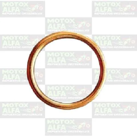 EMPAQUE FUEGO CG200 MAXSRO 182213