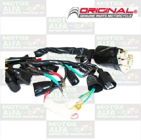 INSTALACION ELECTRICA QM200GY ORIGINAL QINGQI INT00005
