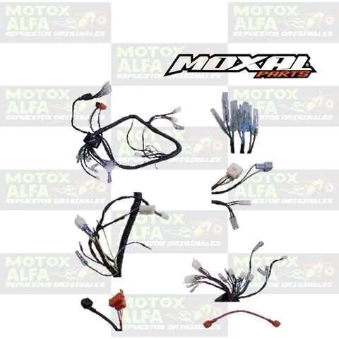 INSTALACION ELECTRICA AK47 FX250 2017 MOXAL 06.084.0018