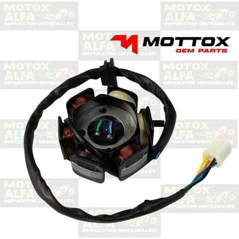 CORONILLA FX150 6M 2H PIT BIKE MOTTOX M02023