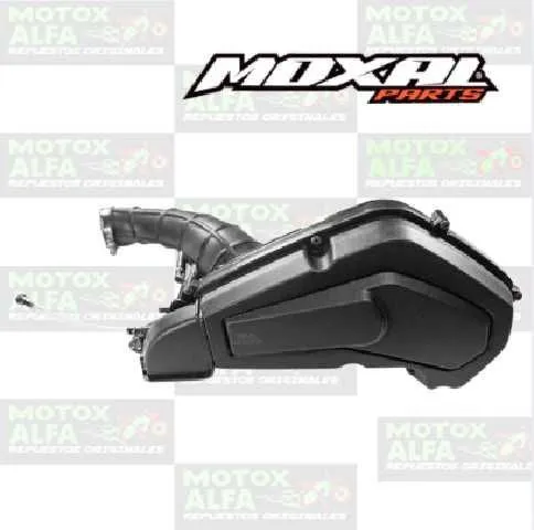 DEPURADOR COMPLETO DY150S1 FATTY MOXAL 06.128.0006