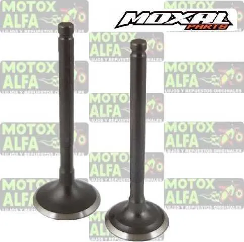 VALVULA GY6125 IN24MM EX21.5MM 5M PC PASOLA MOXAL 06.088.0012