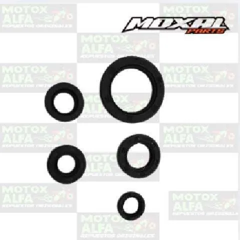 KIT RETENEDOR CG250 MOXAL 06.095.0052