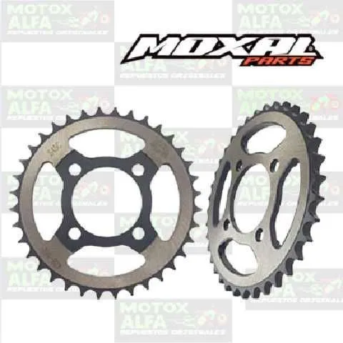 CATALINA MT110 36T 428H CABALLITO MOXAL 06.042.0068 CT125UG